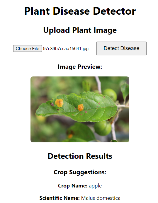 Plant Disease Detection